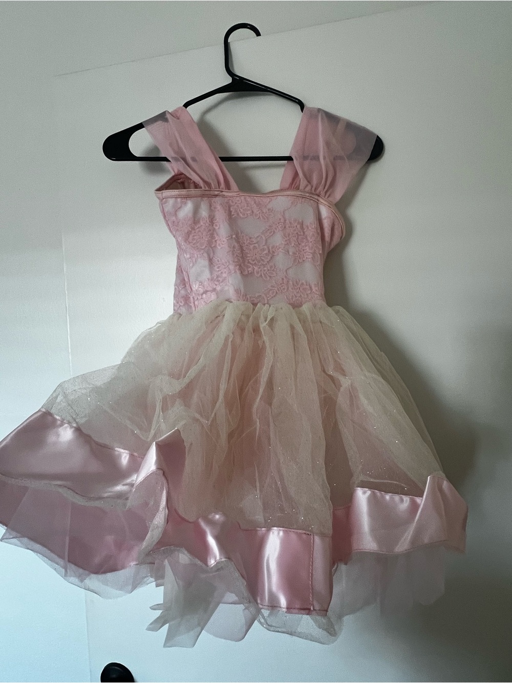 Pink and Cream Girls' Tulle Princess Costume Dress